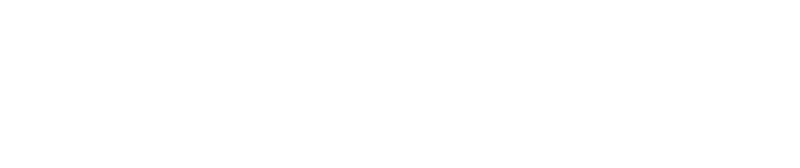 Koch & Partner